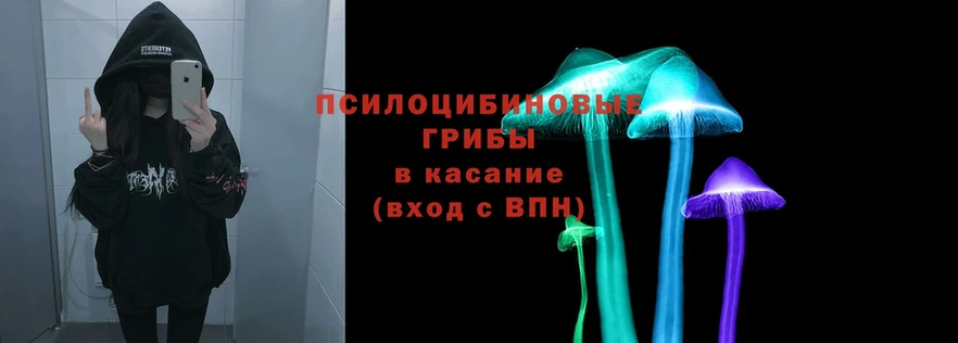 Псилоцибиновые грибы Psilocybe  сайты даркнета наркотические препараты  Бор 